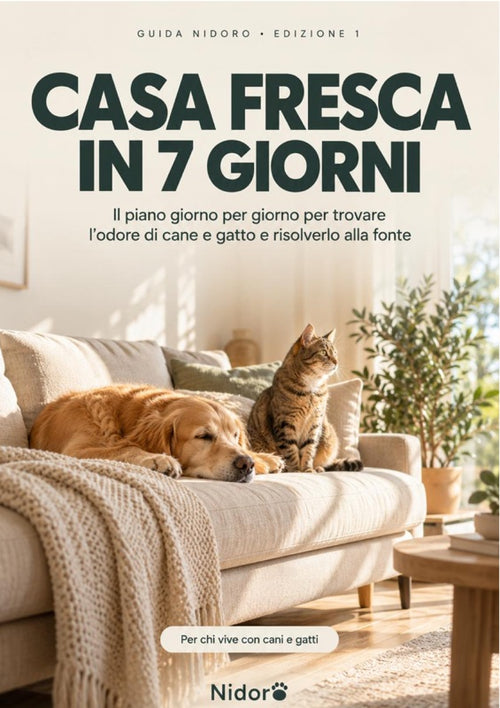 Casa Fresca in 7 Giorni